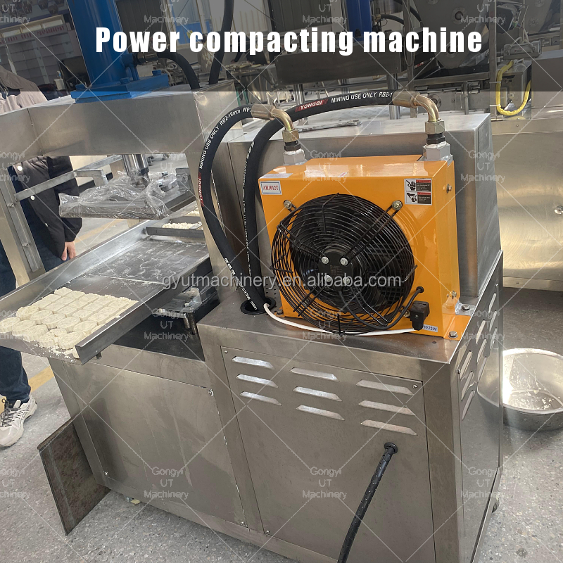 Sugar Melting Equipment for Sugar Cube Making Customizable Lump Sugar Forming Machine