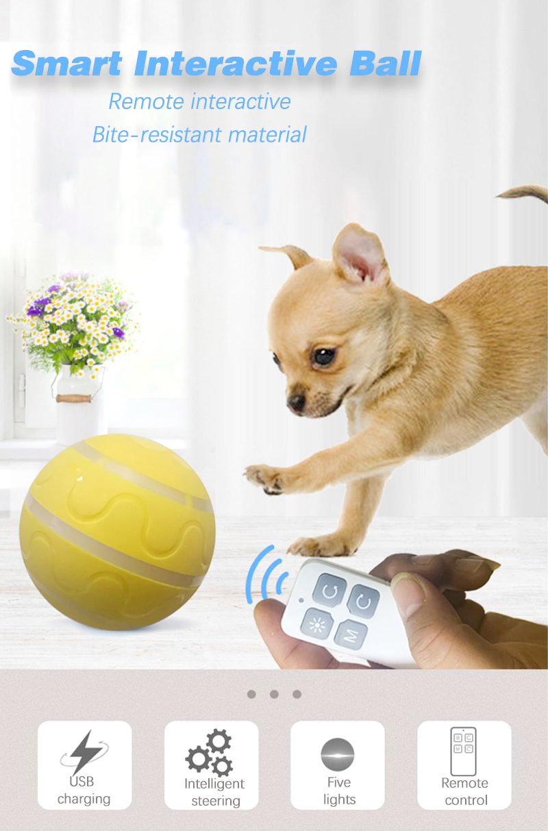 Cat Dogs Activated USB Rechargeable Indoor Wicked Ball for Small Medium Large