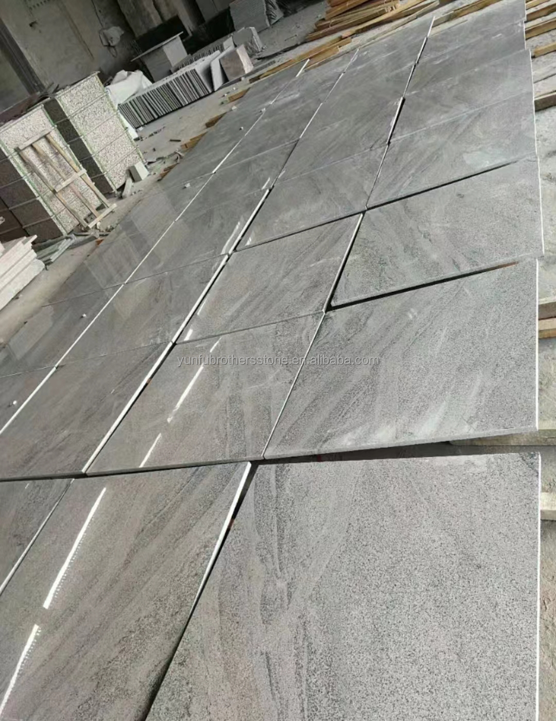 2700kg/m3 Granite Density Modern Indian White Granite Slabs for Graphic Design Projects