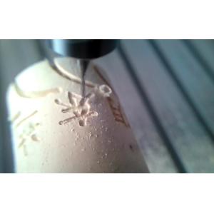 mini 3020 800w cnc router machinery