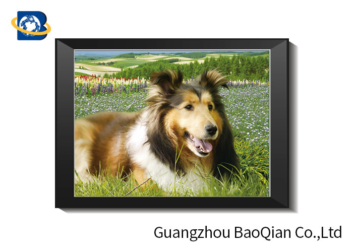 3D Lenticular Printing Products , 3D Lenticular Printing Pictures For Wholesale