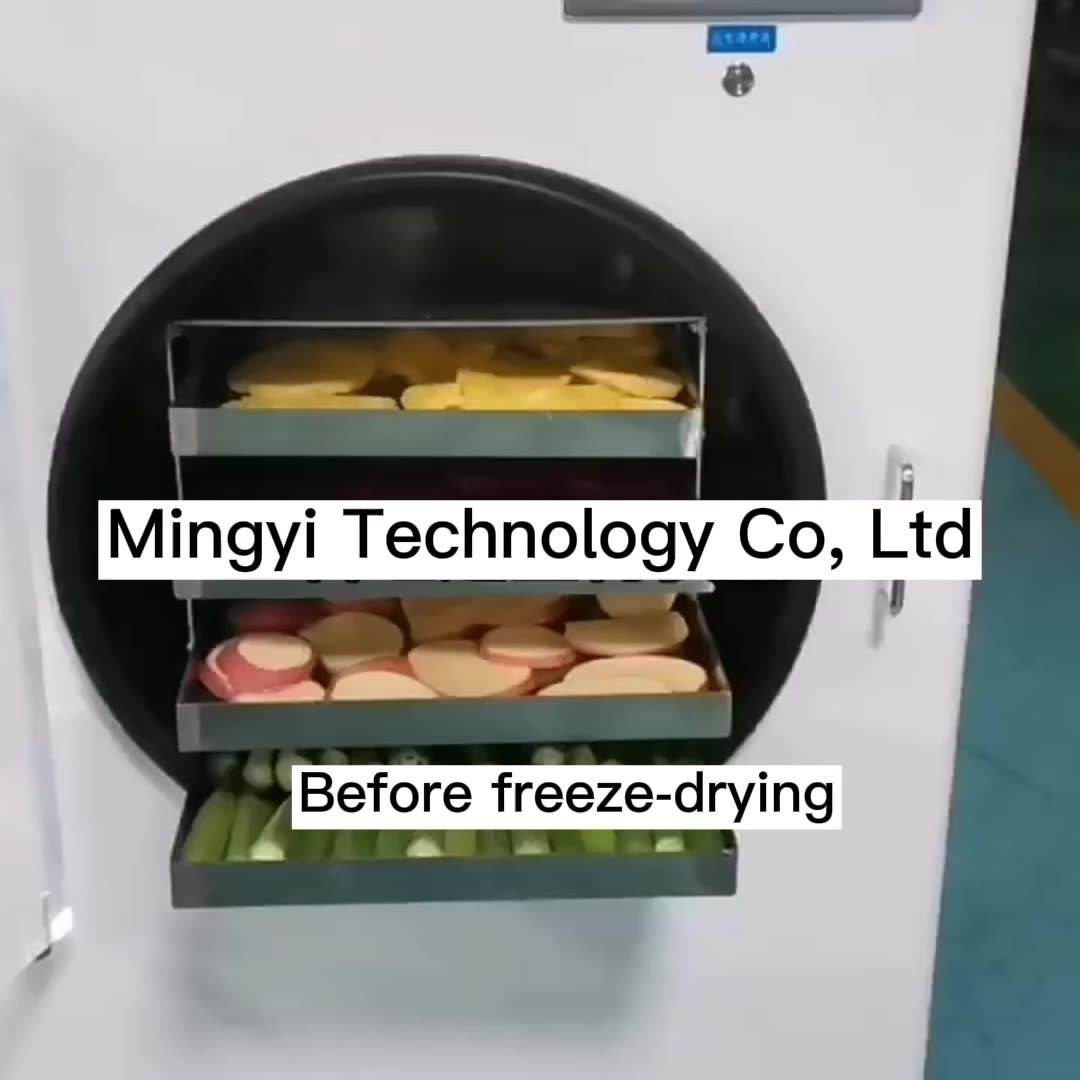 Commercial 15kg / 24 Hour Lyophilizer Freeze Dryer Machine With Lcd Touch Screen
