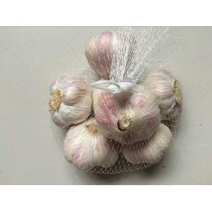  Packaging Mesh Net Bags 80 Mesh 35m Length 5-8 Years Lifespan For Garlic / Ginger Manufactures