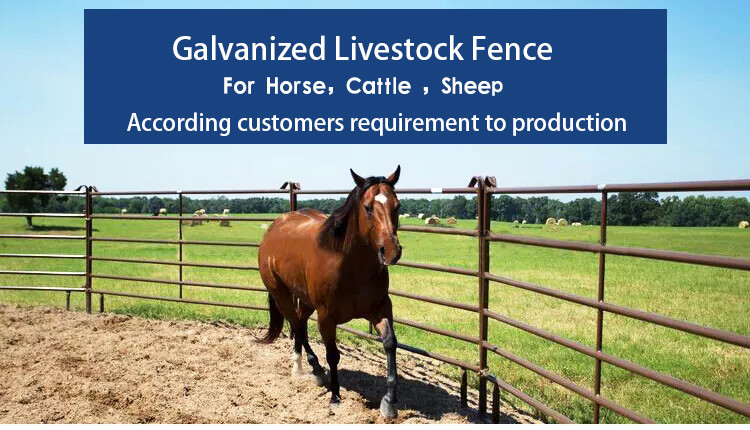 ASTM 2x4 Horse Fence Panels Galvanized Portable Cattle Fence Panels
