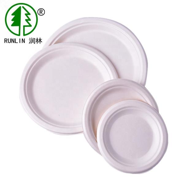 Eco BRC Biodegradable Sugarcane Bagasse Plates Christmas Dinner Paper Plant