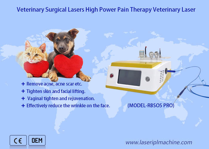 980nm Diode Laser Spider Vein Removal Machine Nail Fungus Treatment