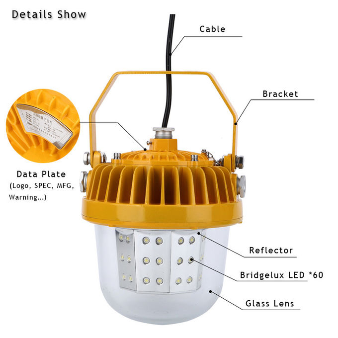 Safe 7800Lm Explosion Proof LED Lights 60W Flame Proof Light Fixtures Energy Saving