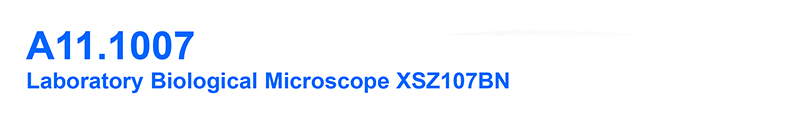 Laboratory Compound Xsz 107bn 1600x Biological Microscope