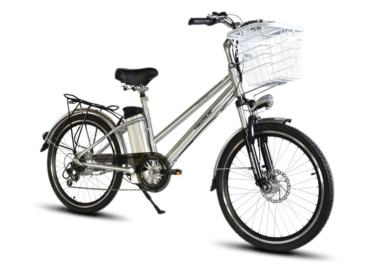 24" Brushless Motor Electric Bicycle with 48V 250W Power and 12AH Battery in Bangladesh