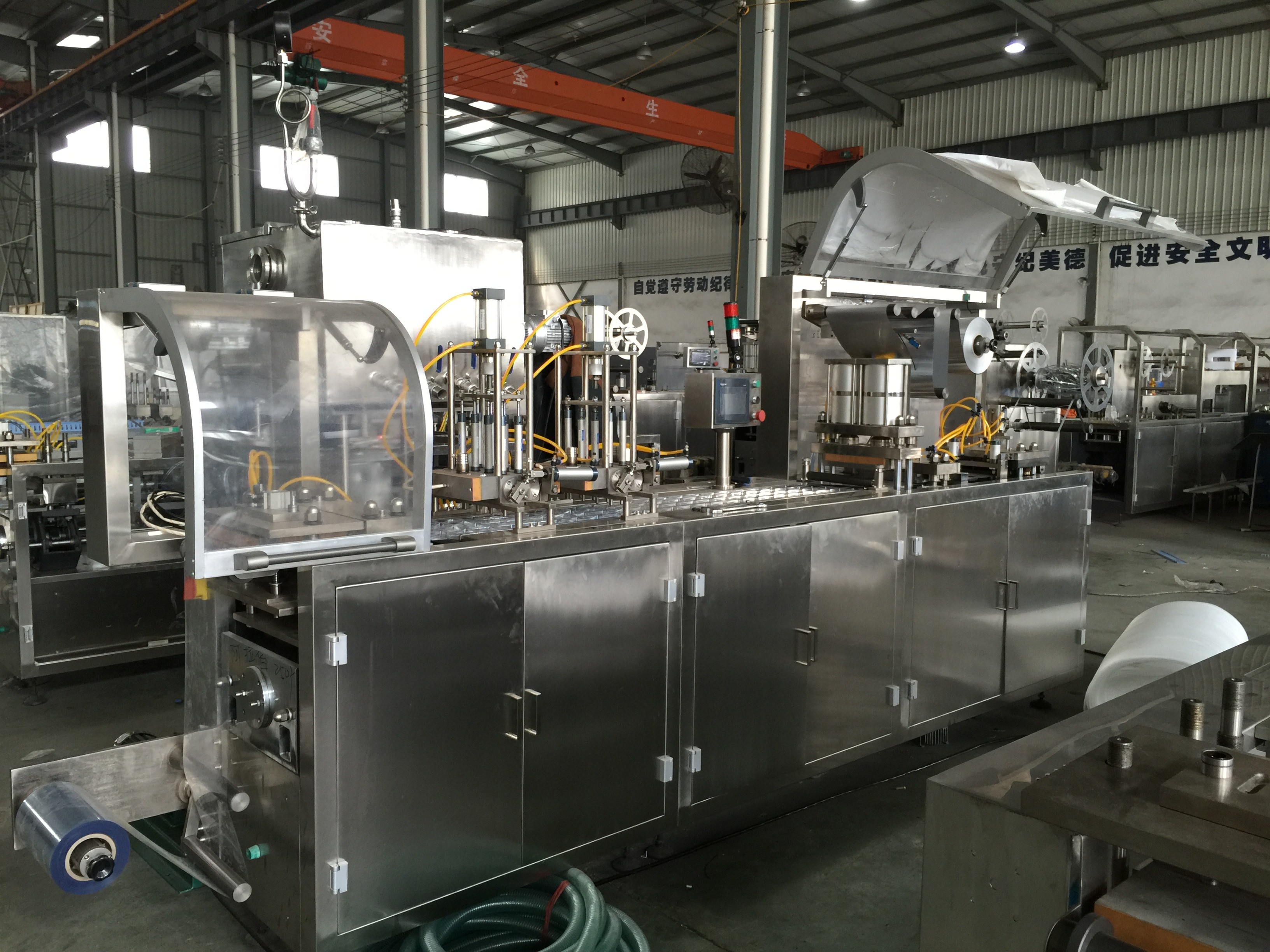 Alu PVC And Alu Alu Pharmaceutical Blister Packaging Machines Automatically