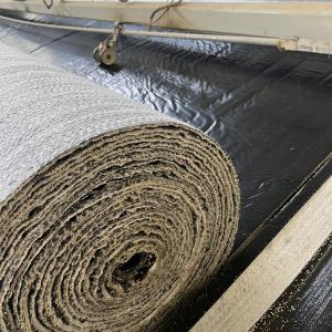 High Density Polyethylene Coating Bentonite Geosynthetic Clay Liner Modern