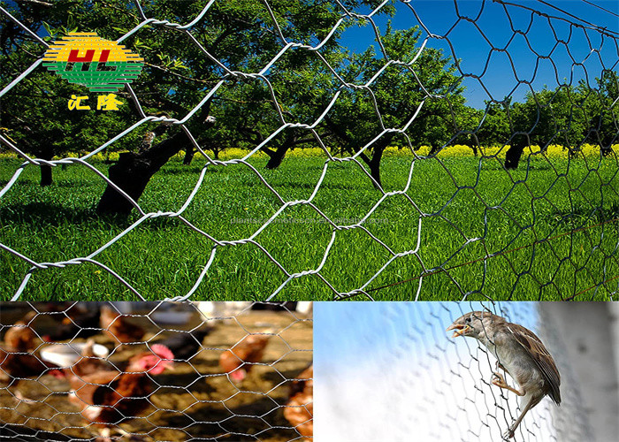 Chicken Coop Galvanized Hexagonal Wire Mesh 3/4 Inch*1.2m*30m