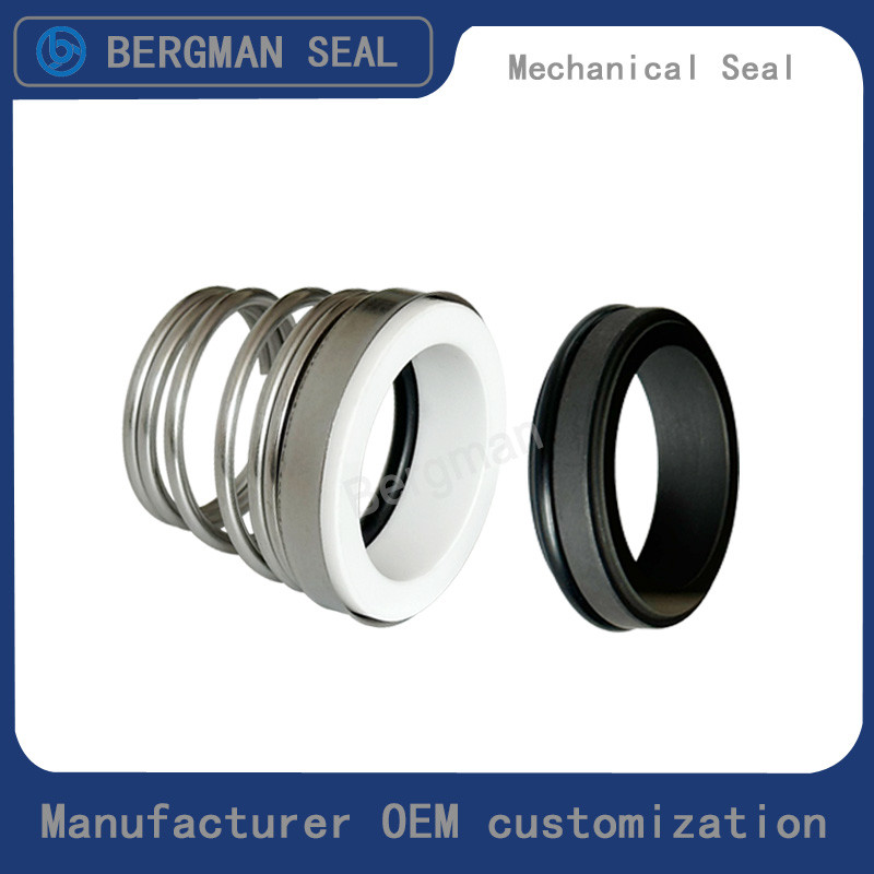OEM BERGMAN 155-12 15 16 17 19 20 25 32mm Lingxiao Leo Pump Mechanical Seal