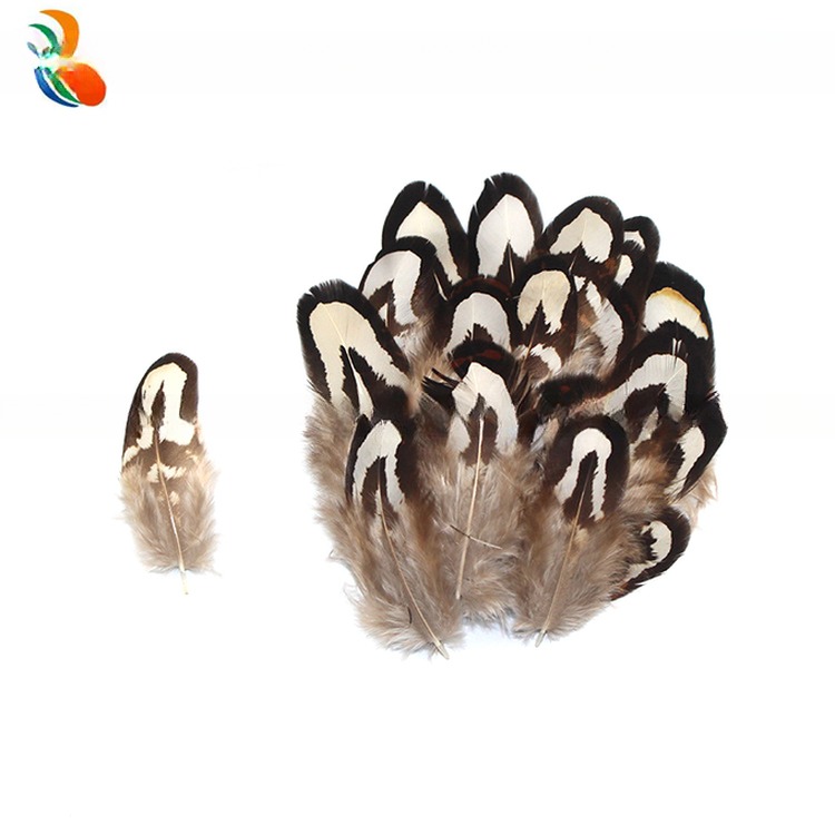 4-6cm Size Pattern Dyed Natural Pheasant Feather With Wire Accessory