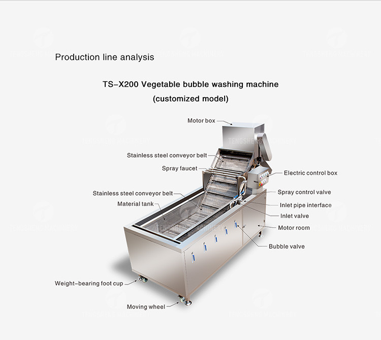 1000KG/H Fruit And Vegetable Processing Line Bubble Washing And Vibrating Drying