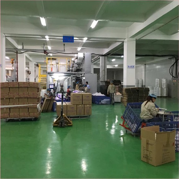 Disposable Female Sanitary Napkin Heavy Flow Pads For Lady