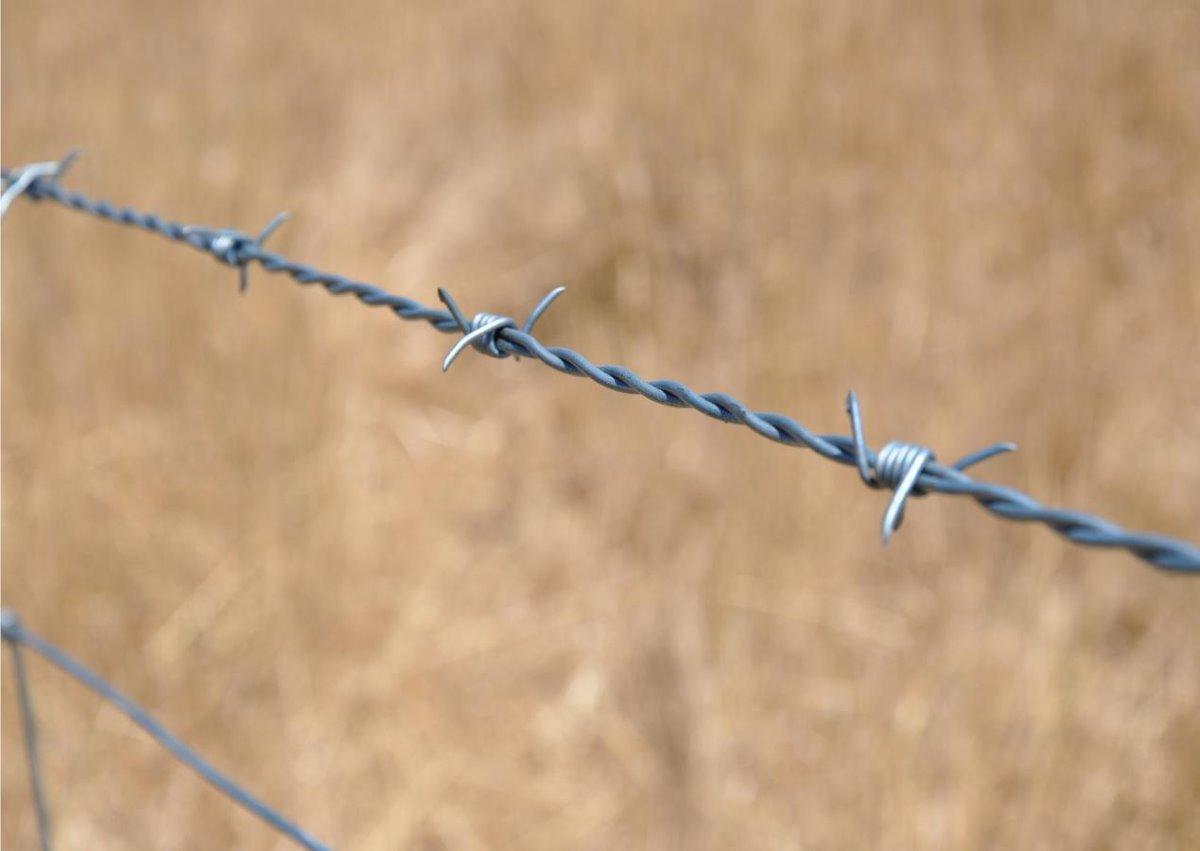 Protecting Mesh 500m Electric Hot Dipped Galvanized Barbed Wire with Electro Galvanized