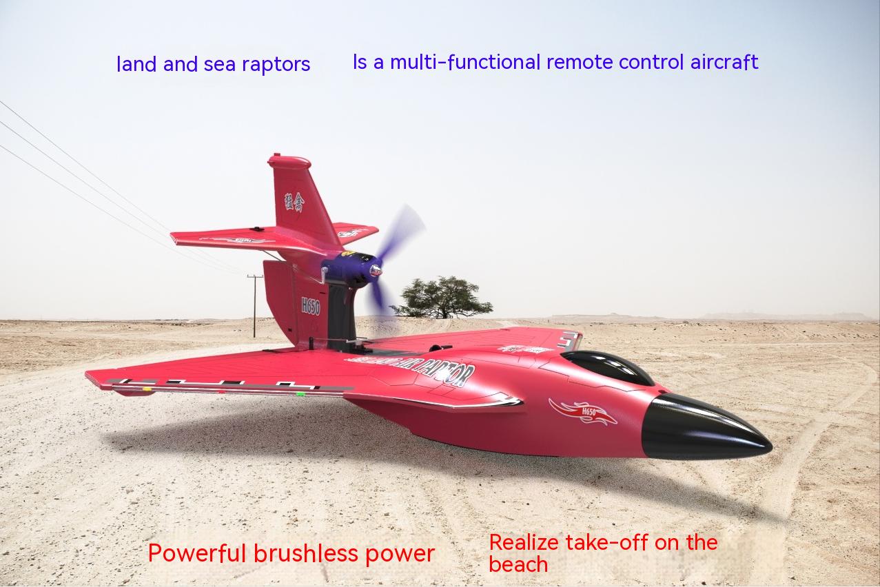 Lightweight Long Range Epp Foam Fixed Wing H650 2.4g Proportional Remote Control Rc Jet Fighter Brushless Fly Toy Outdoor