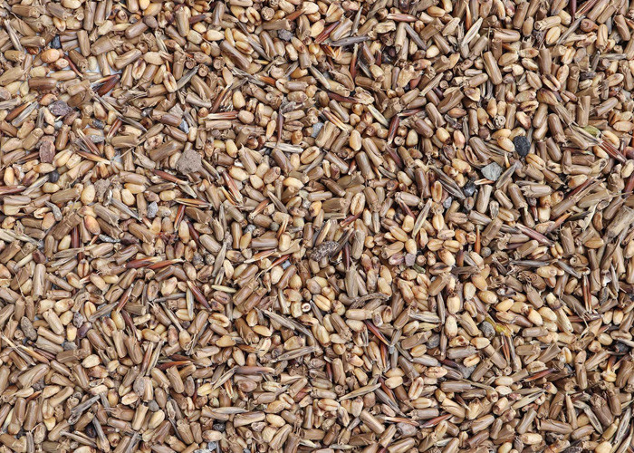 Small Agriculture Pulses Sorting Machine CCD Machine For Wheat