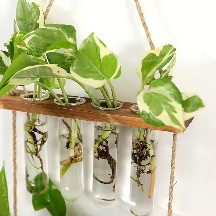 hot-selling Wall Hanging Planter 2 Tiered Plant Propagation Station With Wooden Stand & Glass Planter home decor