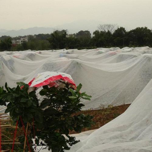 Thermal Insulation Agricultural Nonwoven Seeding Cultivation Water-Saving Weed