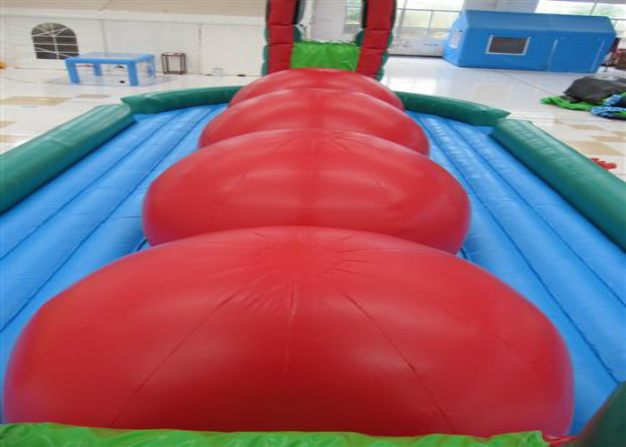 Big exciting outdoor inflatable big balls game for both children and adult