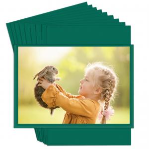  Green Color 4x6 Magnetic Photo Frames Easy To Use Plastic Box Magnets For Picture Anti Stain Manufactures