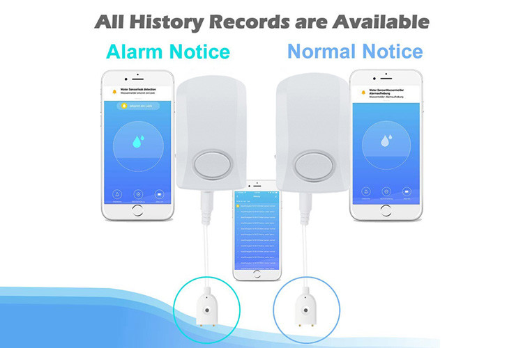 130db Smart Wifi Water Leak Alarm Sensor 1 Year Warranty
