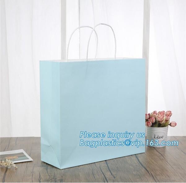 Luxury Paper Gift Carrier Shopping Bag Party Bag with Handles,printed paper carrier bag for apparel shopping bag, bageas