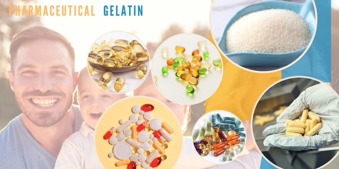 Pharmacy Grass Fed Bovine Gelatin 250 Bloom Grass Fed Unflavored Gelatin
