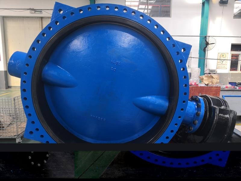 Bs Awwa Dn150 Flanged Soft Sealing Double Eccentric Flange Butterfly Valve