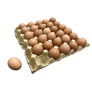 Pack Egg Cartons Crates Bulk 30 Cell Pulp Fiber Egg Flats Reusable Stackable