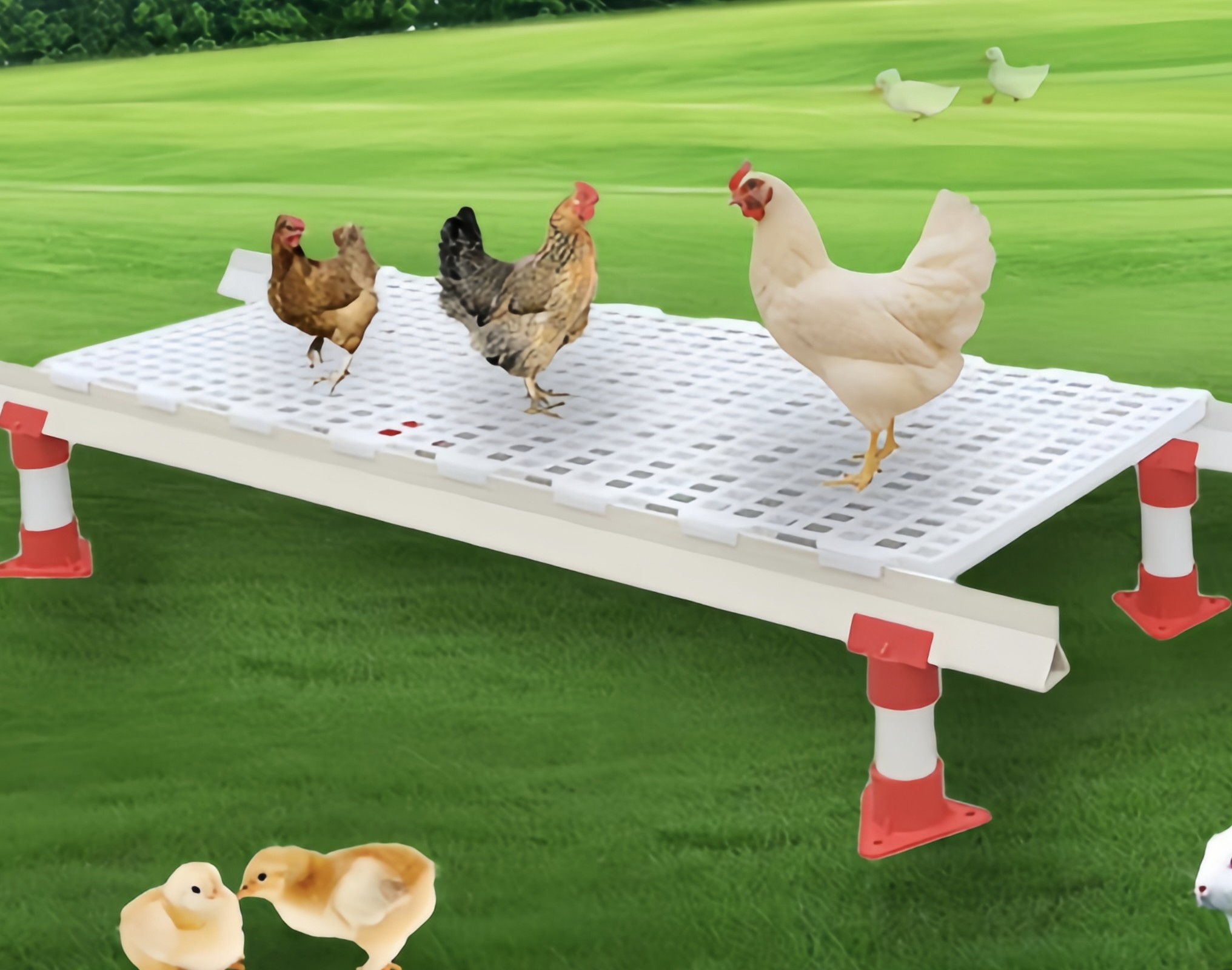 Steel Poultry Slat Flooring , Plastic Slatted Floor For Chicken