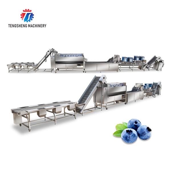 Stainless Steel Fruit And Vegetable Processing Line Potato Picking Hair Roller