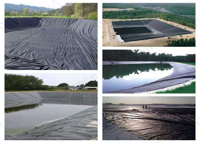 Fish Farming Pond Liner Geomembrane In Hdpe 1.0mm