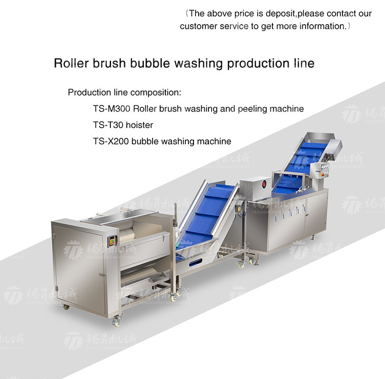 Multifunctional Vegetable And Fruit Processing Line Hair Roller Bubble Cleaning Production Line