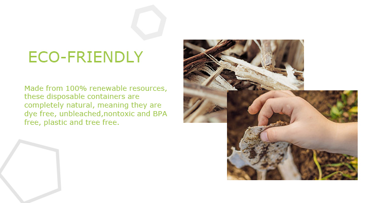 PFAS Free Biodegradable Molded Sugarcane Bagasse Disposable Coffee Cup Lids
