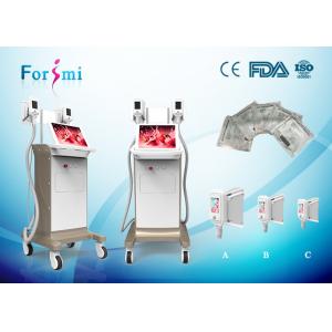  Two handles work the same time Cryolipolysis Slimming Machine FMC-I Fat Freezing Machine Manufactures