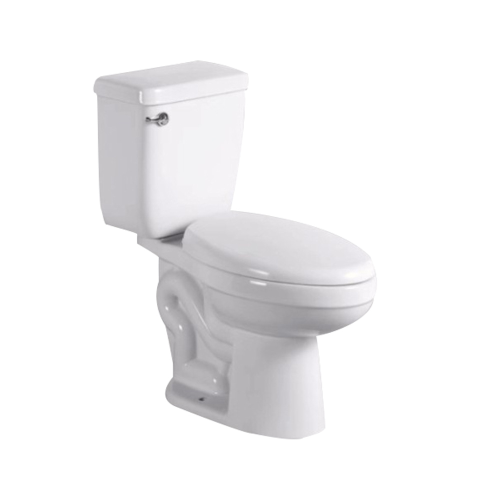 Dual-Flush Traditional Design Comfortable Washdown Water Closet Toilet Seat for Bathroom