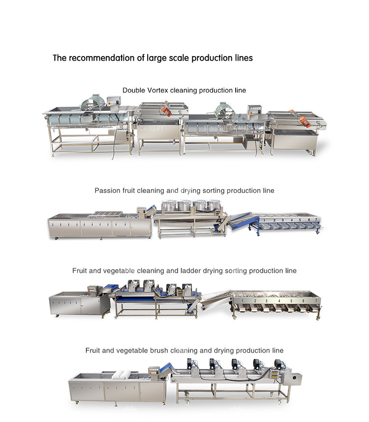 Stainless Steel 220V Young Green Coconut Trimming Machine