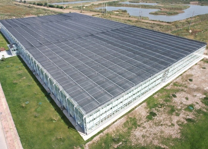 Farm Agriculture Greenhouse Equipments Multi Span Glass Inner Outer Shading System