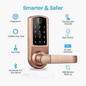 4xAA Wifi Electronic Door Lock Dynamic Password With Alkaline Battery