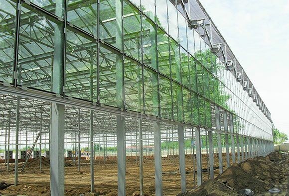 Vegetable Under/Toughened Tempered Glass