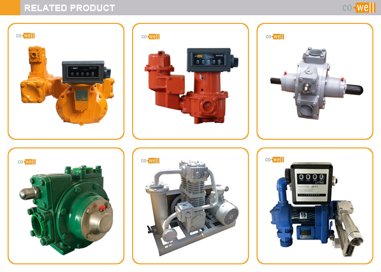 Electric Motor-Powered Standard Propane Vane Pump for Standard Fuel Transfer Requirements
