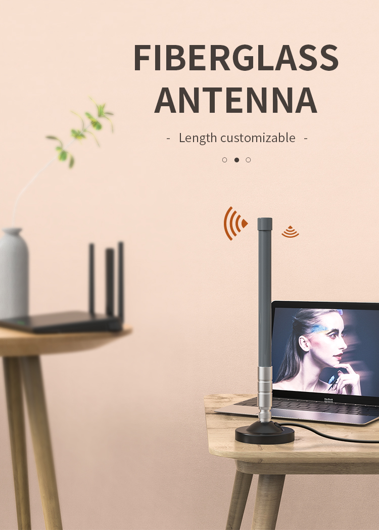 Horizontal/Vertical Polarization 868MHz 915MHz Lora Fiberglass Antenna with High Gain