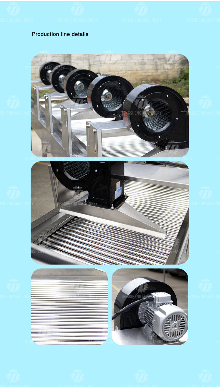 380V Normal Temperature Air Drain Air Dryer Bagged Food Dehydrating Equipment