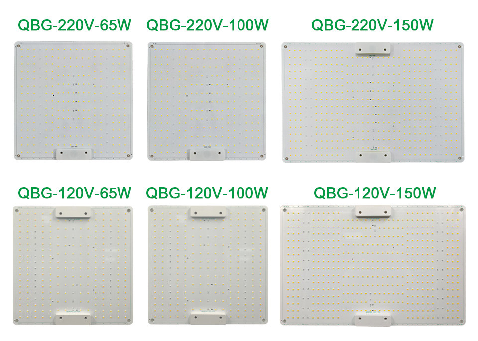 LED Indoor Grow Lights 650W 5000K Energy Saving For Plants Flowers
