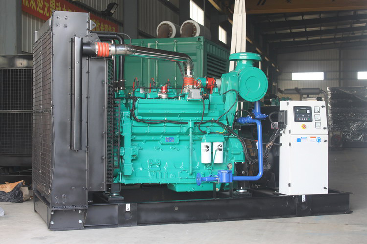 250 Kva Natural Gas Generator Set 230V 3 Phase Portable Diesel Generator 125kw