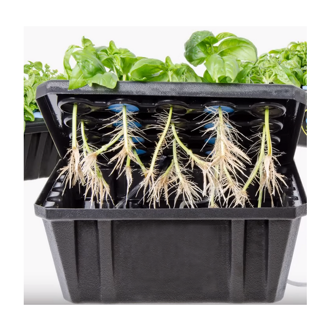 Heat Resistant Non Toxic Seeds Plant Cloning Collar Foam