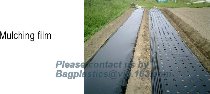 Transparent / Black / Silver / White color Plastic PE LDPE Agriculture Mulching Film,panda strawberry mulch film/black w